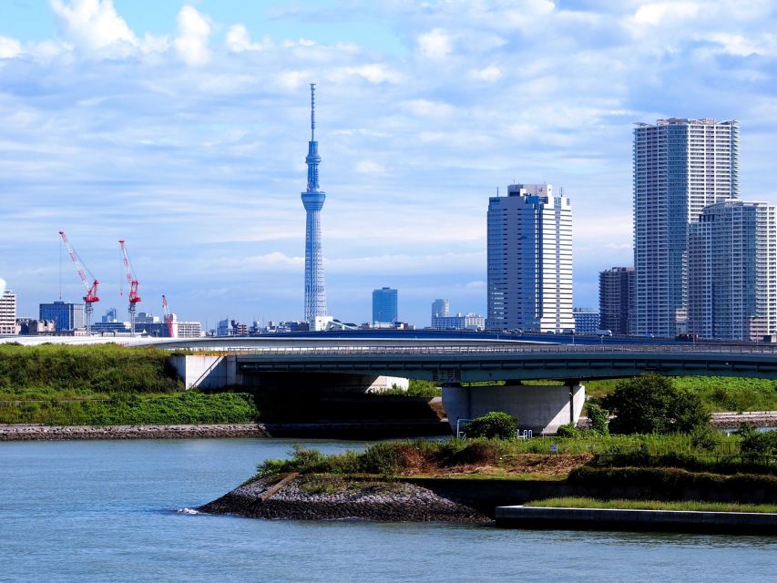 Tokyo: 1-Day Private Customizable Tour by Car - Itinerary