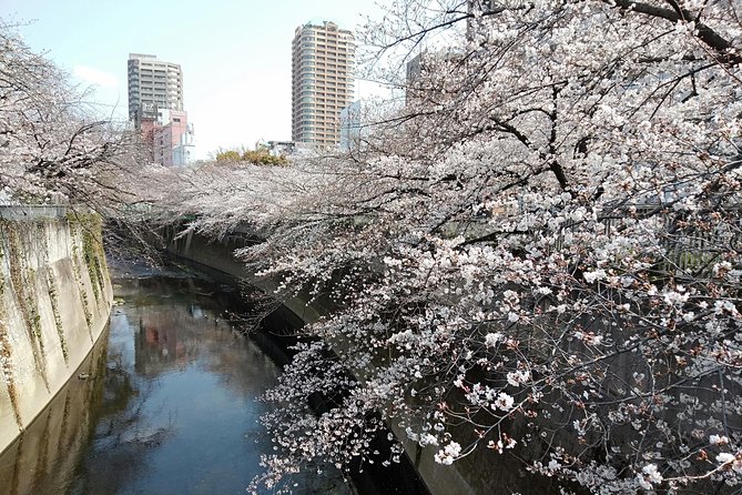 Tokyo 1-Day Private Tour/Customization & Hotel Gathering OK! - Frequently Asked Questions