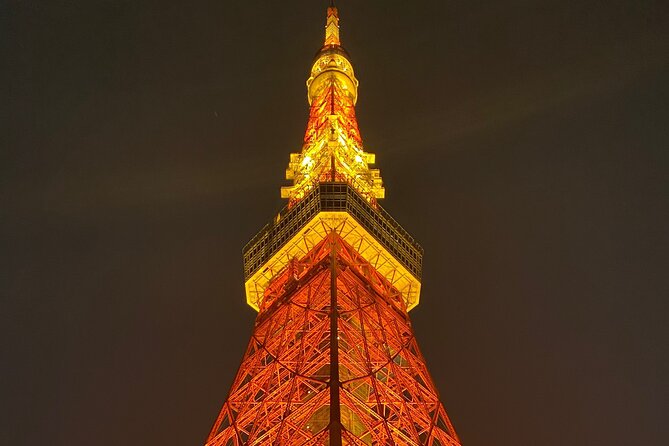 Tokyo Private Custom Tour Around City Area - Benefits of a Private Guide