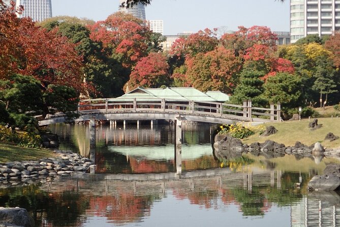 Tsukiji Outer Market Gourmet Tour! - The Sum Up