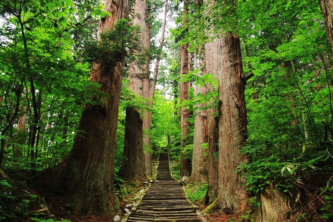 Tsuruoka & Dewa-Sanzan Full-Day Private Tour With Government-Licensed Guide - Pricing and Additional Information