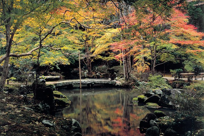 WE LOVE SHINRIN-YOKU Tour (1-Day) - Quick Takeaways