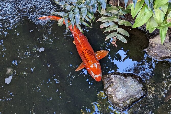 Asakusa: Traditional Exquisite Lunch After History Tour - The Sum Up