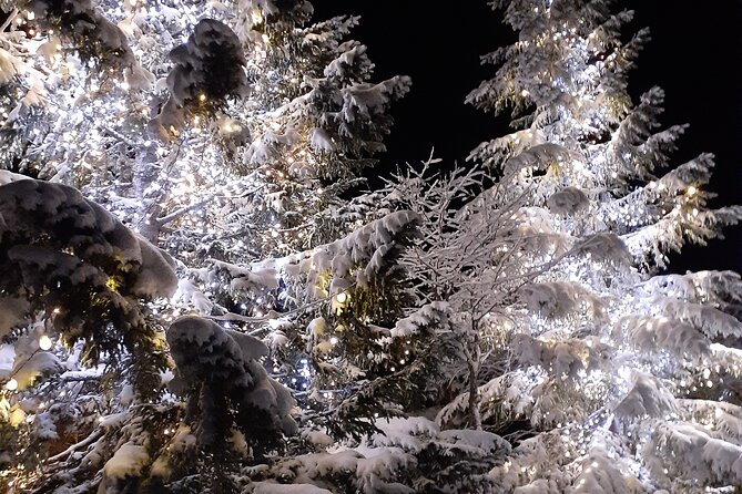 Charming Romantic VIP Tokyo Experience - Common questions