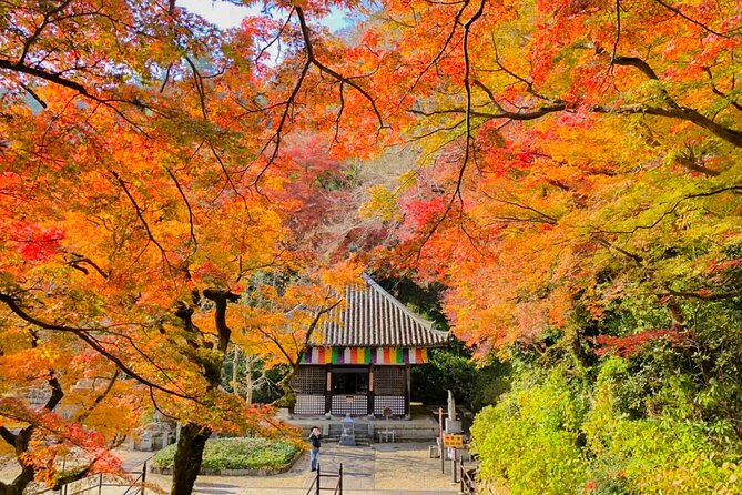 From Tokyo: Kamakura & Enoshima - One Day Trip - What Other Travelers Are Saying