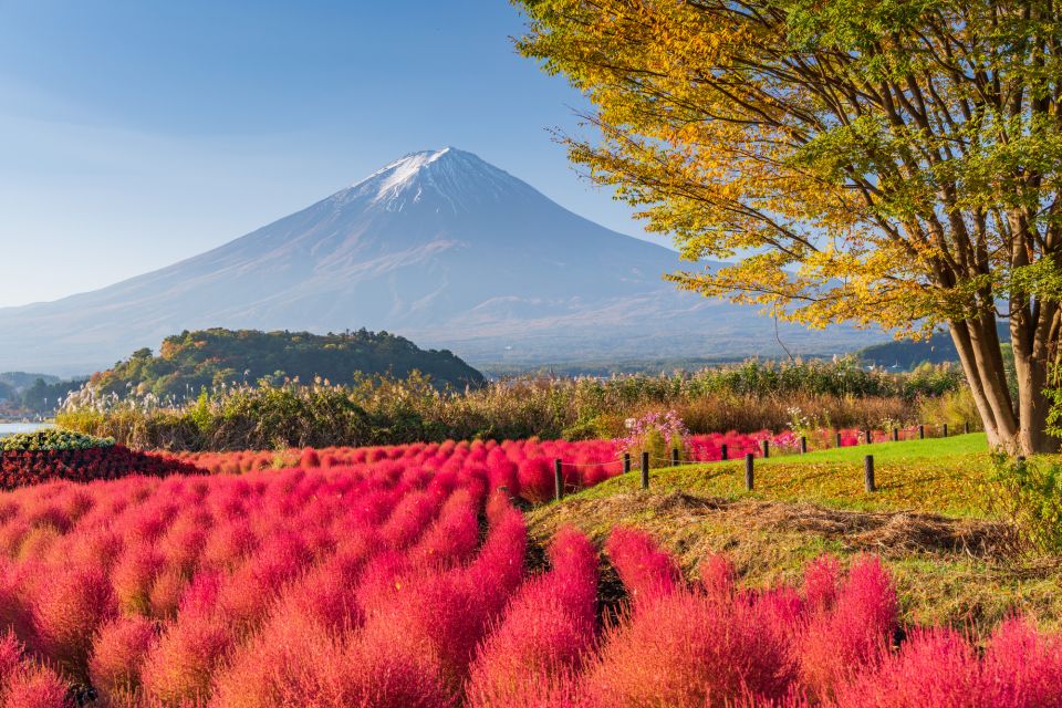 From Tokyo: Mount Fuji Highlights Private Day Tour - Frequently Asked Questions