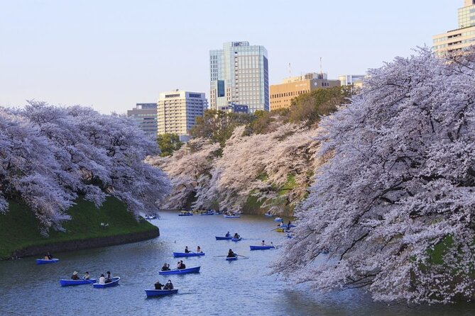 Full Day Private Luxury Tokyo Tour - Tips and Recommendations