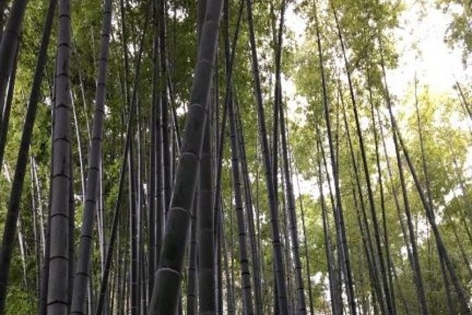 Kamakura Flower Tour - Customer Reviews and Testimonials