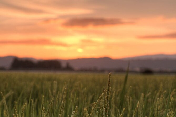 Kitakata Full-Day Private Tour With Government-Licensed Guide - Customer Support