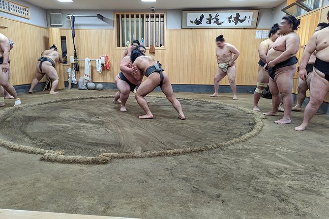 Morning Sumo Practice Viewing in Tokyo - The Sum Up