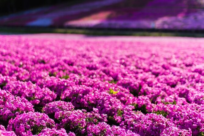 Mount Fuji Private Tour by Car With Pick up - Tour Value and Cost Comparison