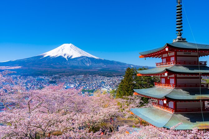 Mt. Fuji Cherry Blossom One Day Tour From Tokyo - The Sum Up