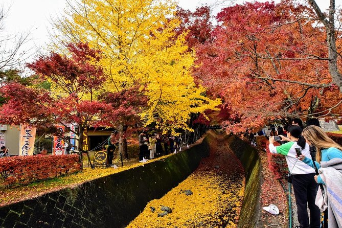 Mt Fuji Day Trip From Tokyo by Car With Photographer Guide - The Sum Up