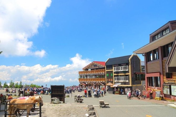 Mt. Fuji & Hakone 1 Day Tour From Tokyo (Return by Bullet Train in Option） - Customer Reviews and Testimonials