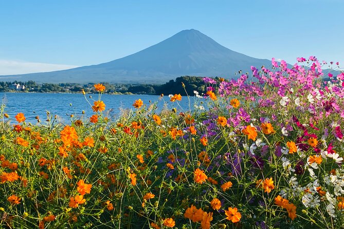 Mt. Fuji Private Sightseeing With Bilingual Chauffeur - Additional Information