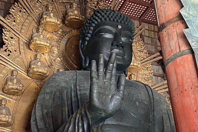 NARA Walking Tour [Customize Your Itinerary] - The Sum Up