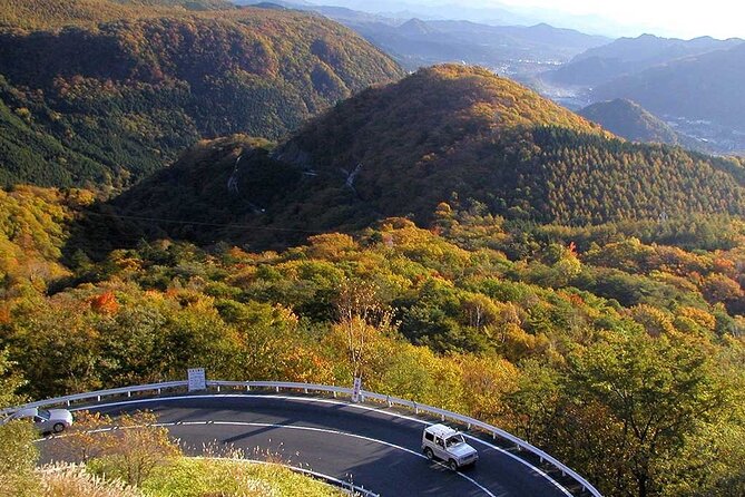 Nikko Private Tour With English Speaking Guide - Futarasan Jinja Shrine and Kegon Falls