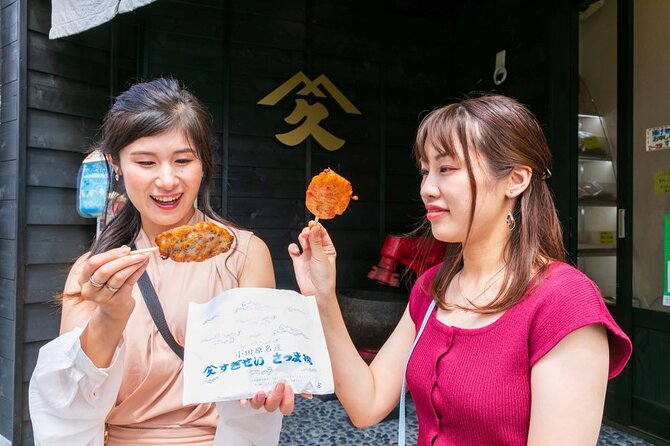 Odawara Castle and Town Guided Discovery Tour - Odawara Castle