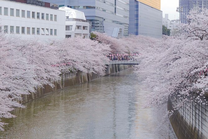 Private Custom Tour: Tokyo in a Day - The Sum Up