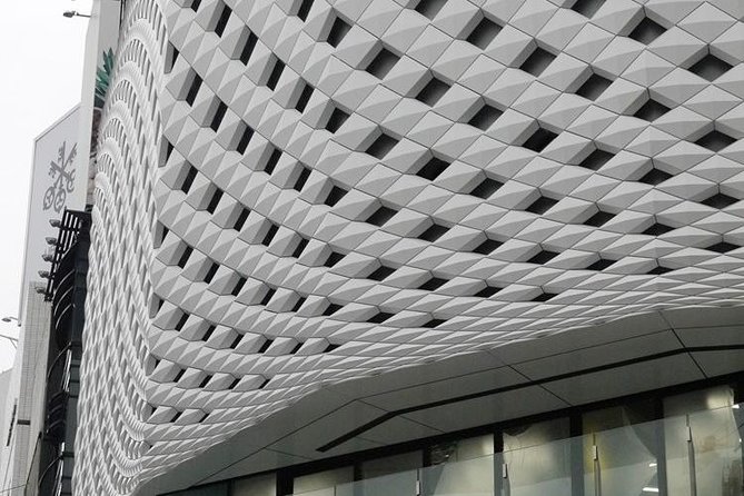 Private Ginza Architecture Walking Tour - Positive Reviews From Viator and Tripadvisor