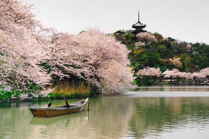 Private Yokoyama Family Tours With Local Guides, 100% Personalized - Frequently Asked Questions