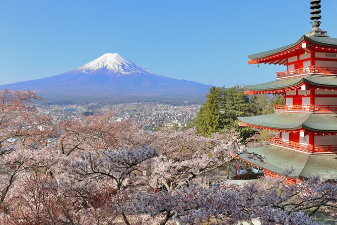 Recorrido De Día Completo Al Monte Fuji. - Recommendations and The Sum Up