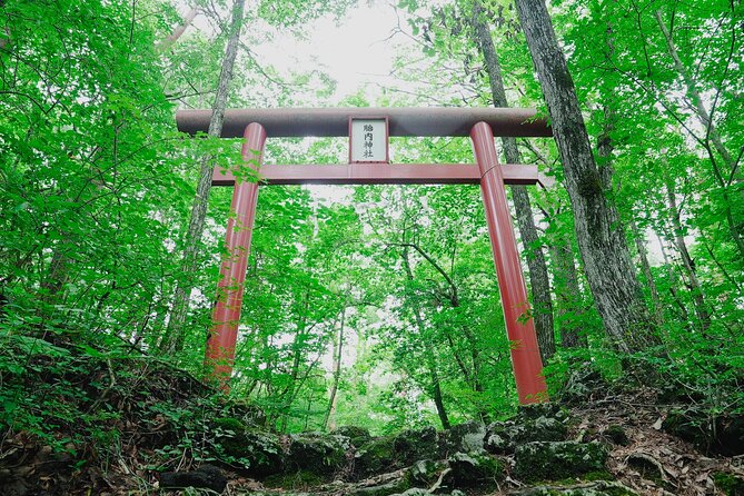 Retreat Bus Tour Surrounded by Beautiful Mt.Fuji - The Sum Up