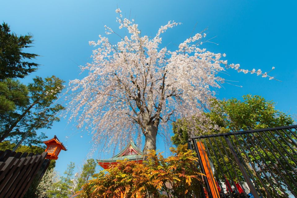 Sakura in Tokyo: Cherry Blossom Experience - Cultural Significance of Sakura in Japan