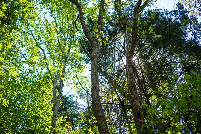 Usuzan Volcano Guided Hiking Private Tour - Common questions