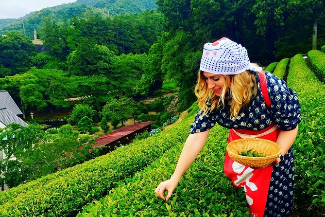 Virtual Tour to Discover Mount Fuji - The Sum Up