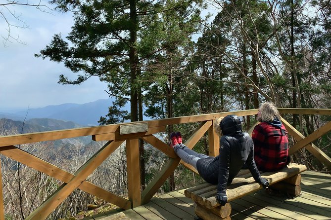 WE LOVE SHINRIN-YOKU Tour (1-Day) - The Sum Up