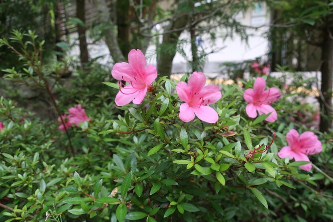 Minoh Waterfall and Nature Walk Through the Minoh Park - Common questions