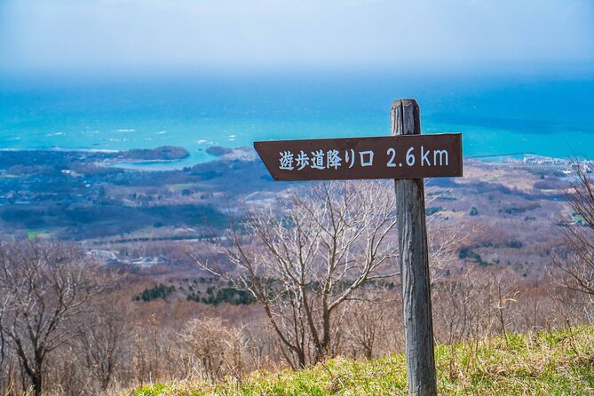 Usuzan Volcano Guided Hiking Private Tour - The Sum Up