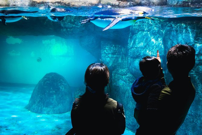 Yokohama Private Tours With Locals: 100% Personalized, See the City Unscripted - Additional Resources and Contact Information