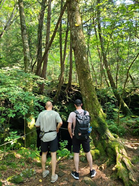 Mount Fuji & Kawaguchiko: Private Guided Customizable Tour - The Sum Up