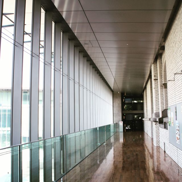 Private Ueno Park Architecture Tour - The Sum Up