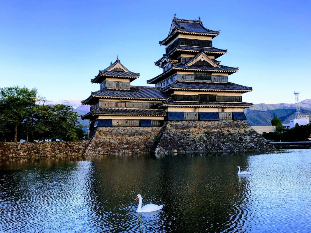 Matsumoto Castle and swans