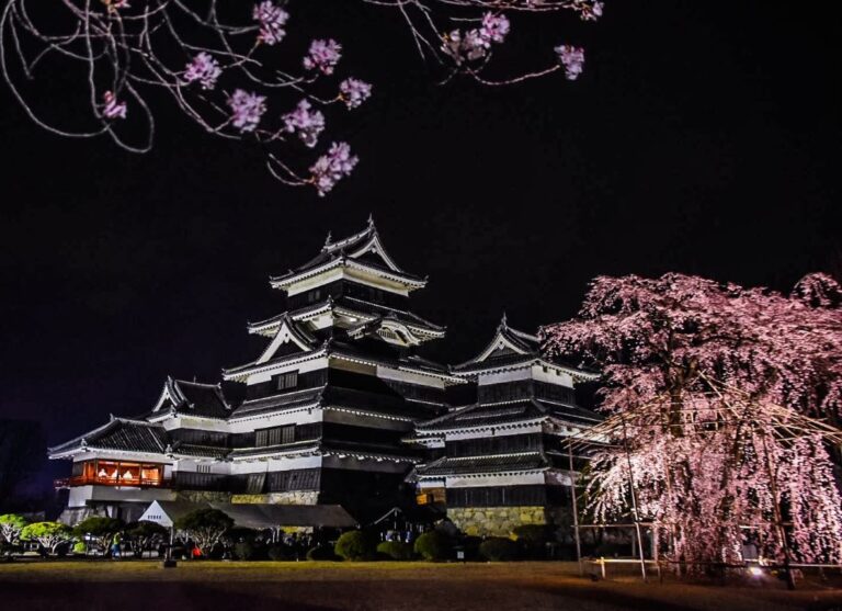 Matsumoto Jo Castle