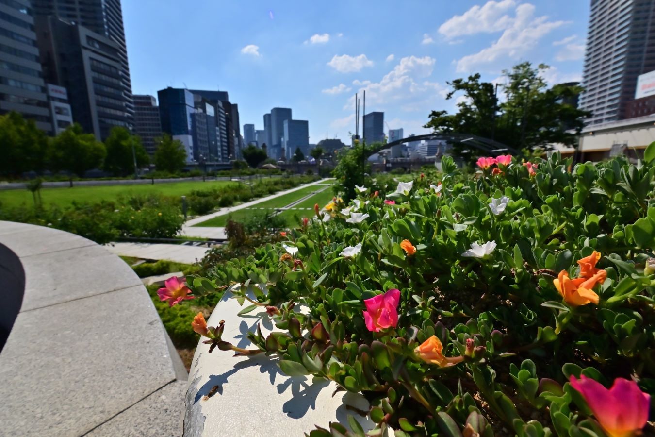 Nakanoshima Park Osaka