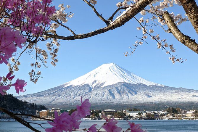Private Car Mt Fuji and Gotemba Outlet in One Day from Tokyo