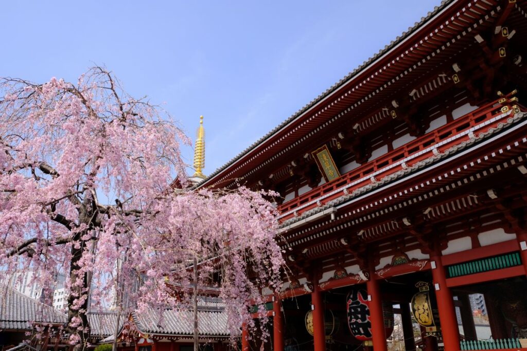 Sensoji Asakusa