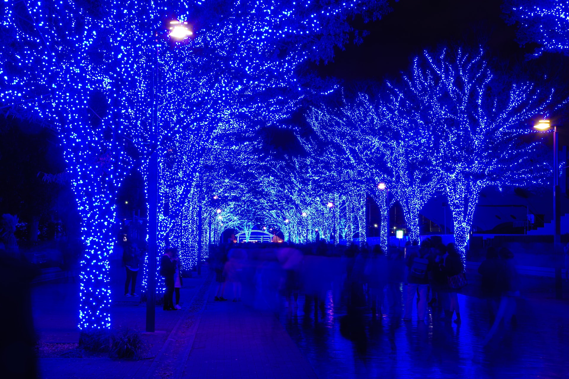 Sibuya winte lights
