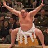 sumo-2
