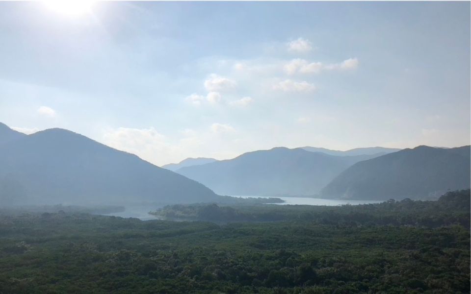 Amami: Morning Mangrove Kayaking Tour - Quick Takeaways