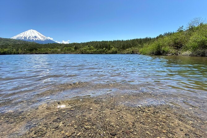 Aokigahara Nature Conservation Full Day Hiking Tour Quick Takeaways