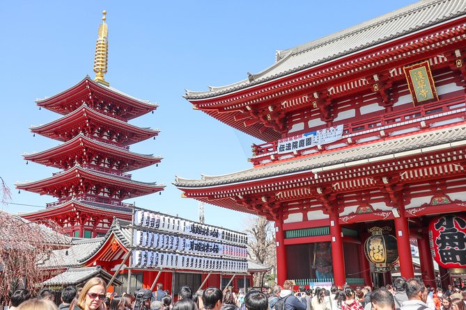 Asakusa Cultural Walk & Matcha Making Tour - Exploring Asakusa by Rickshaw