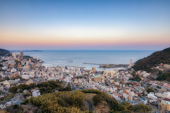 Atami Full-Day Private Tour With Government-Licensed Guide - Tour Details