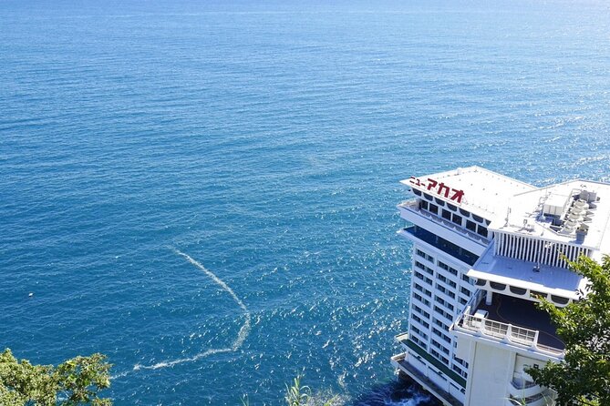 Atami Half-Day Private Tour With Government-Licensed Guide - Quick Takeaways