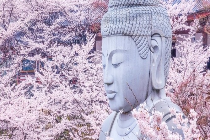 Cherry Blossom Buddha and Mt.Yoshino With Strawberry Picking Tour Quick Takeaways