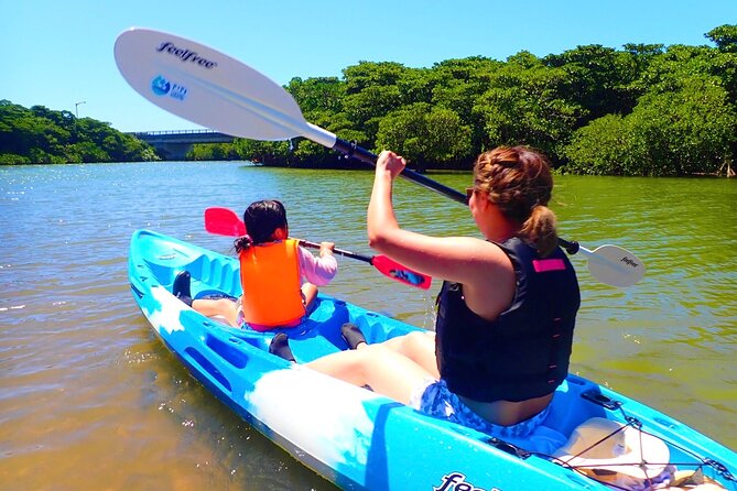 Miyara River 90-Minute Small-Group SUP or Canoe Tour  – Ishigaki